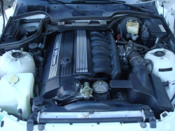 2000 BMW M Coupe in Alpine White 3 over Dark Beige Oregon - S52 Engine