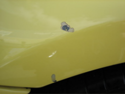 2000 BMW M Coupe in Dakar Yellow 2 over Black Nappa - Hood Detail