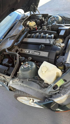 2000 BMW M Coupe in Oxford Green 2 Metallic over Dark Beige Oregon