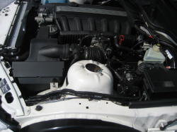 2000 BMW M Coupe in Alpine White 3 over Black Nappa - S52 Engine Bay