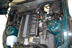 1999 BMW M Coupe in Boston Green Metallic over Dark Beige Oregon - S52 Engine