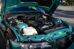 1999 BMW M Coupe in Evergreen over Evergreen & Black Nappa