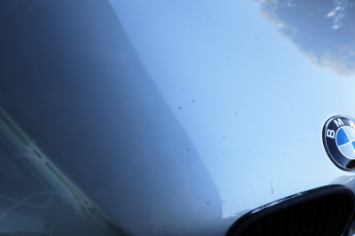 1999 BMW M Coupe in Arctic Silver Metallic over Dark Gray & Black Nappa