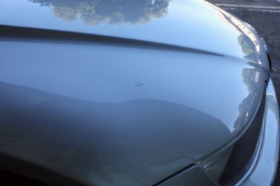 1999 BMW M Coupe in Arctic Silver Metallic over Dark Gray & Black Nappa