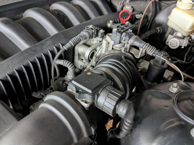 1999 BMW M Coupe in Cosmos Black Metallic over Dark Beige Oregon