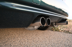 1999 BMW M Coupe in Boston Green Metallic over Dark Beige Oregon