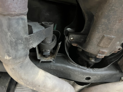 1999 BMW M Coupe in Boston Green Metallic over Dark Beige Oregon