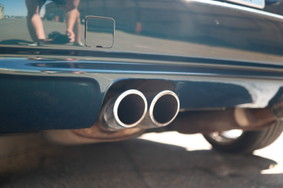 1999 BMW M Coupe in Boston Green Metallic over Dark Beige Oregon