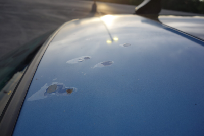 1999 BMW M Coupe in Estoril Blue Metallic over Dark Beige Oregon