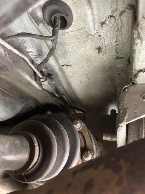 1999 BMW M Coupe in Estoril Blue Metallic over Estoril Blue & Black Nappa