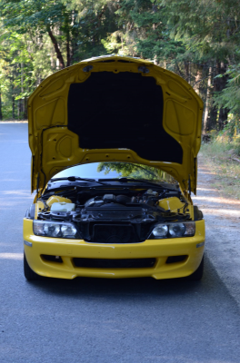 1999 BMW M Coupe in Dakar Yellow 2 over Black Nappa