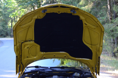 1999 BMW M Coupe in Dakar Yellow 2 over Black Nappa