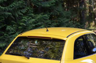 1999 BMW M Coupe in Dakar Yellow 2 over Black Nappa