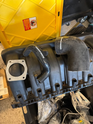 1999 BMW M Coupe in Cosmos Black Metallic over Black Nappa