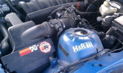 2000 BMW M Coupe in Estoril Blue Metallic over Estoril Blue & Black Nappa - S52 Engine Detail