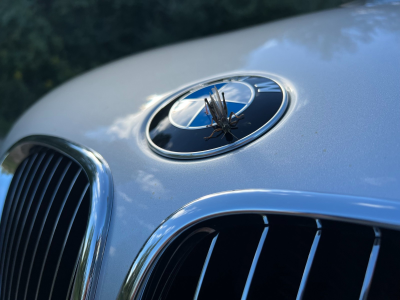 2000 BMW M Coupe in Titanium Silver Metallic over Black Nappa