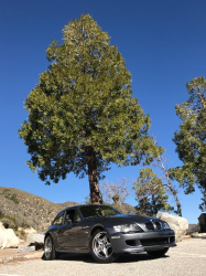 2002 BMW M Coupe in Steel Gray Metallic over Dark Gray & Black Nappa