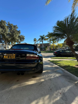 2000 BMW M Roadster in Cosmos Black Metallic over Black Nappa