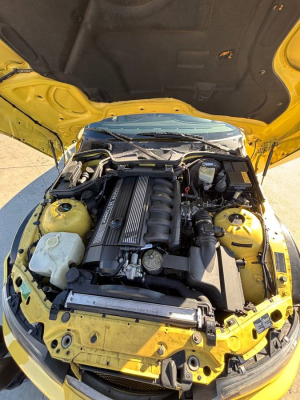 2000 BMW M Roadster in Dakar Yellow 2 over Black Nappa