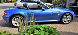 2000 BMW M Roadster in Estoril Blue Metallic over Estoril Blue & Black Nappa