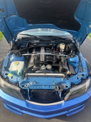 2000 BMW M Roadster in Estoril Blue Metallic over Estoril Blue & Black Nappa