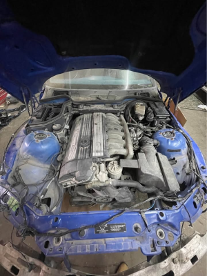 2000 BMW M Roadster in Estoril Blue Metallic over Estoril Blue & Black Nappa