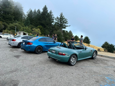 2000 BMW M Roadster in Evergreen over Evergreen & Black Nappa