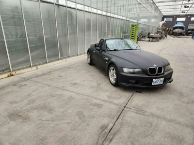 2000 BMW M Roadster in Other over Dark Gray & Black Nappa