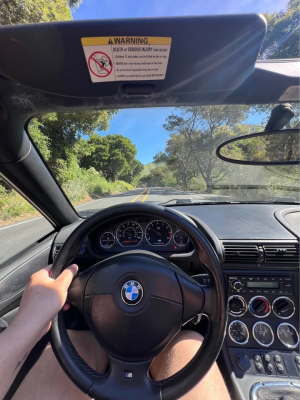 1998 BMW M Roadster in Arctic Silver Metallic over Black Nappa