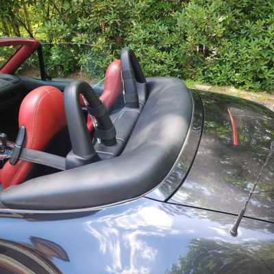 1998 BMW M Roadster in Cosmos Black Metallic over Imola Red & Black Nappa