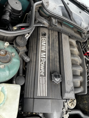 1998 BMW M Roadster in Evergreen over Evergreen & Black Nappa