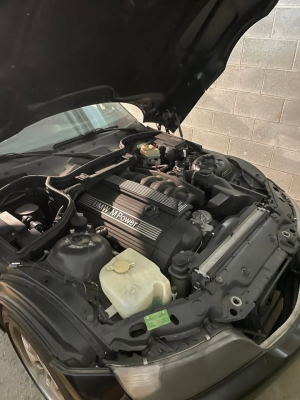 1999 BMW M Roadster in Cosmos Black Metallic over Dark Gray & Black Nappa