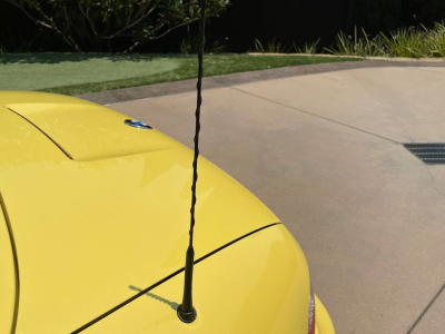 1999 BMW M Roadster in Dakar Yellow 2 over Black Nappa