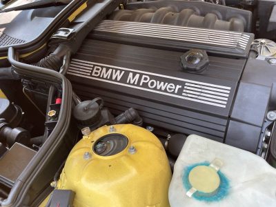 1999 BMW M Roadster in Dakar Yellow 2 over Black Nappa