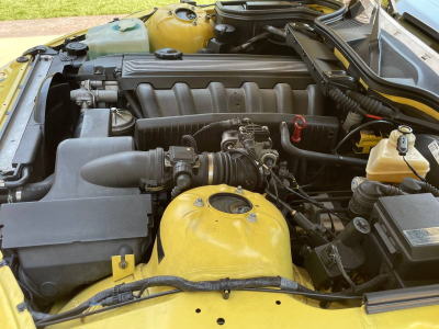 1999 BMW M Roadster in Dakar Yellow 2 over Black Nappa