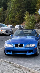 1999 BMW M Roadster in Estoril Blue Metallic over Estoril Blue & Black Nappa