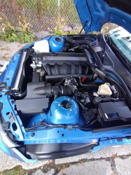 1999 BMW M Roadster in Estoril Blue Metallic over Estoril Blue & Black Nappa