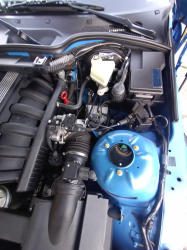 1999 BMW M Roadster in Estoril Blue Metallic over Estoril Blue & Black Nappa