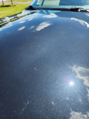 1998 BMW M Roadster in Cosmos Black Metallic over Dark Gray & Black Nappa