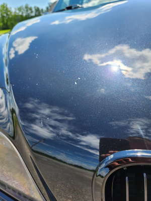 1998 BMW M Roadster in Cosmos Black Metallic over Dark Gray & Black Nappa