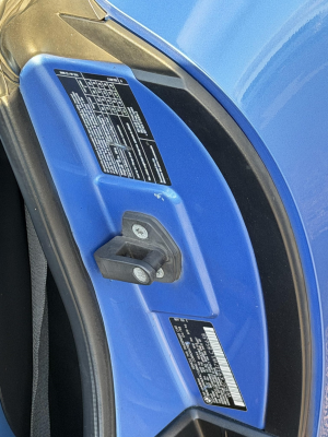 1998 BMW M Roadster in Estoril Blue Metallic over Estoril Blue & Black Nappa