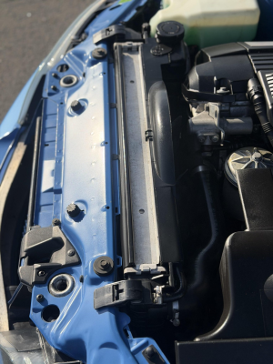 1998 BMW M Roadster in Estoril Blue Metallic over Estoril Blue & Black Nappa