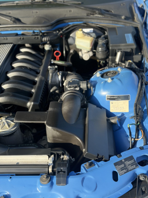1998 BMW M Roadster in Estoril Blue Metallic over Estoril Blue & Black Nappa