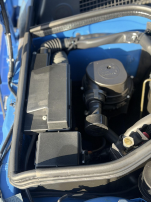 1998 BMW M Roadster in Estoril Blue Metallic over Estoril Blue & Black Nappa