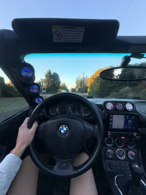 1998 BMW M Roadster in Arctic Silver Metallic over Black Nappa