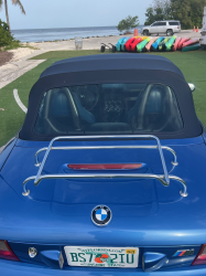 1998 BMW M Roadster in Estoril Blue Metallic over Estoril Blue & Black Nappa