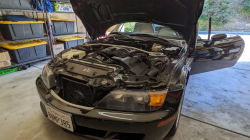 1998 BMW M Roadster in Cosmos Black Metallic over Black Nappa