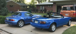 1998 BMW M Roadster in Estoril Blue Metallic over Estoril Blue & Black Nappa