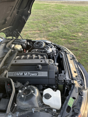 1998 BMW M Roadster in Cosmos Black Metallic over Black Nappa
