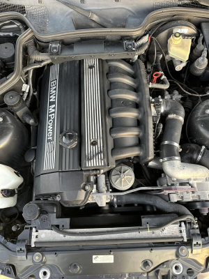 1998 BMW M Roadster in Cosmos Black Metallic over Black Nappa